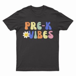 Pre-K Vibes  Student Teacher Vintage Retro T-Shirt